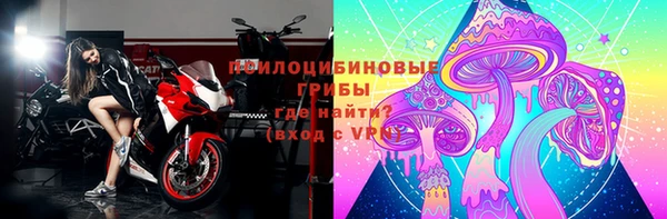 спиды Заводоуковск